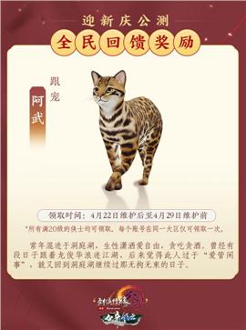 天龙八部私服 许愿水晶